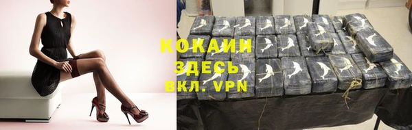 a pvp Горняк