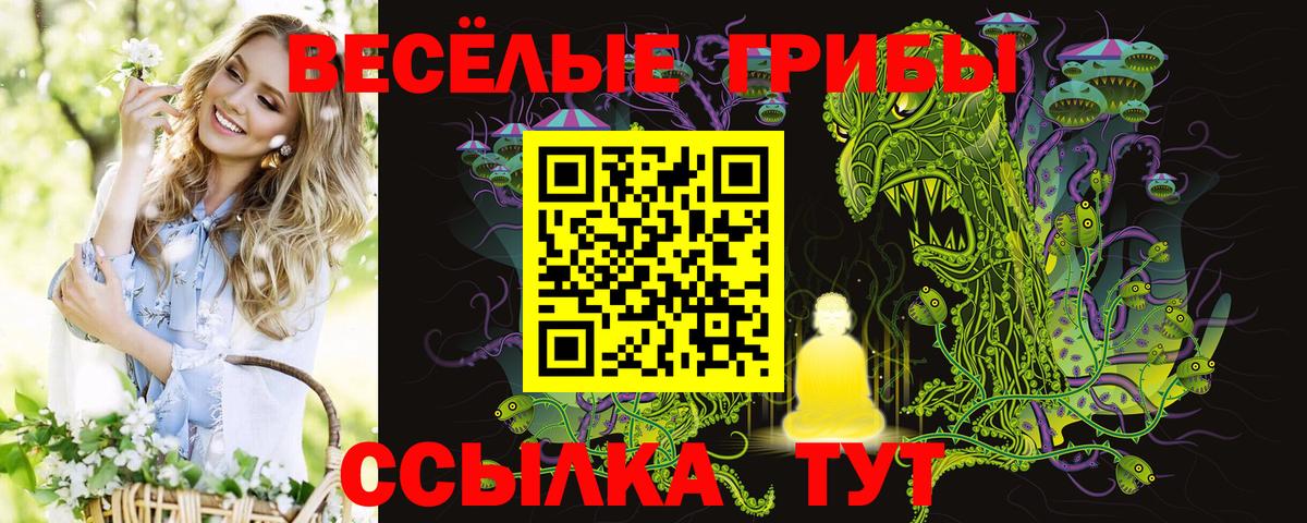 Вольск  Псилоцибиновые грибы прущие грибы  Вход с VPN 